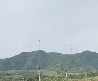 風(fēng)電項(xiàng)目占用林地可行性報(bào)告現(xiàn)場(chǎng)勘察